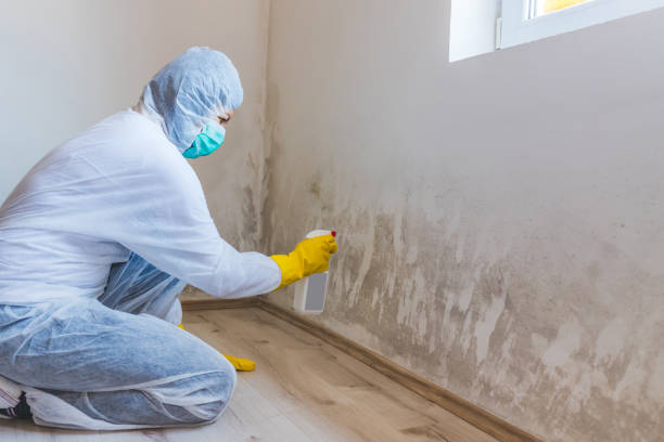 Hvac And Air Duct Mold Remediation inspection of HVAC system in Buckingham