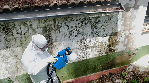 Mold Removal service in Buckingham
